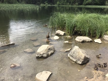 FOTKA - Vrbick pleso