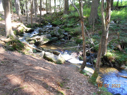 FOTKA - Prochzka prodn rezervac nrodnho parku