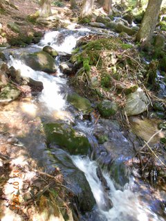 FOTKA - Prochzka prodn rezervac nrodnho parku