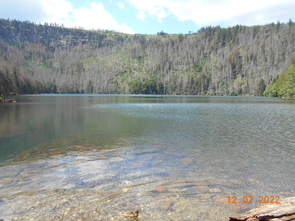 FOTKA - Prochzka prodn rezervac nrodnho parku