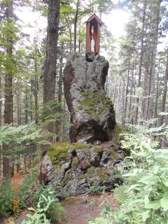 FOTKA - Prochzka prodn rezervac nrodnho parku