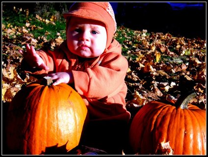 FOTKA - Pamtka nejen na Halloween