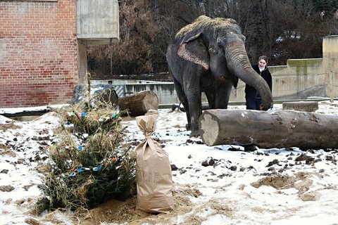 FOTKA - tdr den v Zoo Praha