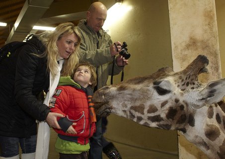 FOTKA - Prvn vprava z Ulice navtvila praskou ZOO!