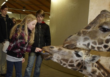 FOTKA - Prvn vprava z Ulice navtvila praskou ZOO!