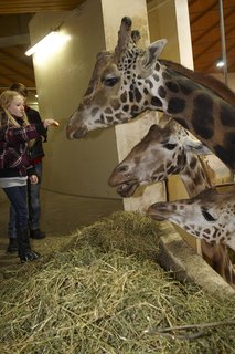 FOTKA - Prvn vprava z Ulice navtvila praskou ZOO!