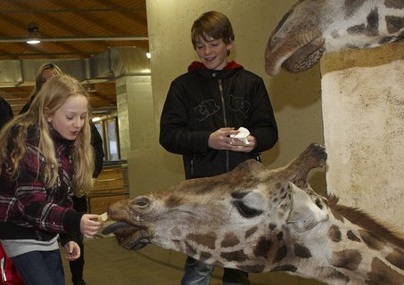 FOTKA - Prvn vprava z Ulice navtvila praskou ZOO!