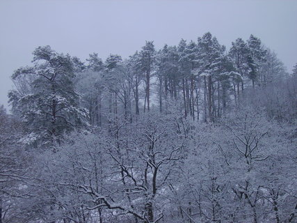 FOTKA - Moje prvn a zrove posledn lyovn