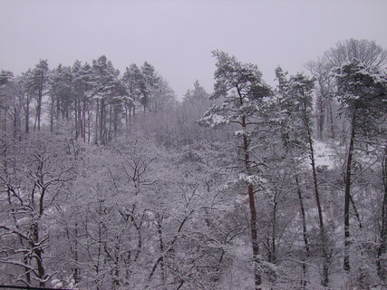 FOTKA - Moje prvn a zrove posledn lyovn