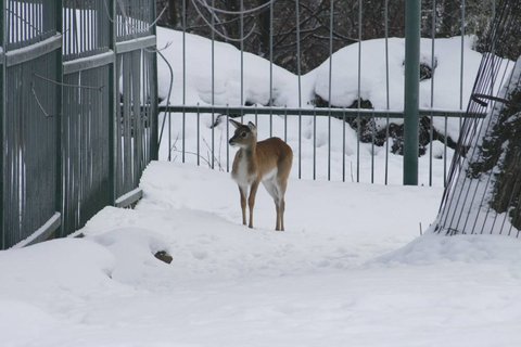 FOTKA - Posledn je jasn, ale prvn?