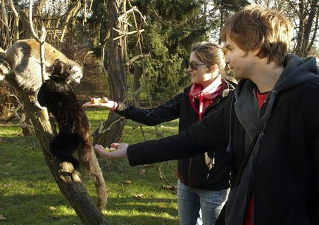 FOTKA - Druh vprava z Ulice navtvila praskou ZOO!