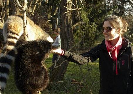 FOTKA - Druh vprava z Ulice navtvila praskou ZOO!