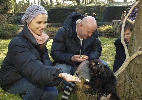 FOTKA - Druh vprava z Ulice navtvila praskou ZOO!