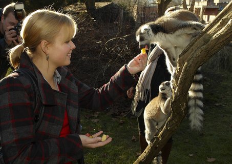 FOTKA - Druh vprava z Ulice navtvila praskou ZOO!