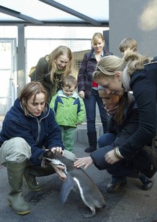 FOTKA - Druh vprava z Ulice navtvila praskou ZOO!