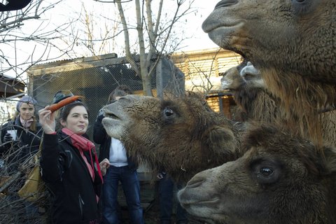 FOTKA - Druh vprava z Ulice navtvila praskou ZOO!