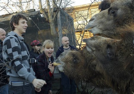 FOTKA - Druh vprava z Ulice navtvila praskou ZOO!