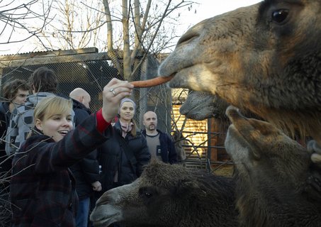 FOTKA - Druh vprava z Ulice navtvila praskou ZOO!