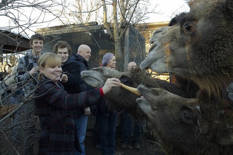 FOTKA - Druh vprava z Ulice navtvila praskou ZOO!