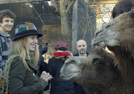 FOTKA - Druh vprava z Ulice navtvila praskou ZOO!