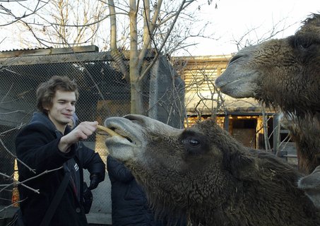 FOTKA - Druh vprava z Ulice navtvila praskou ZOO!