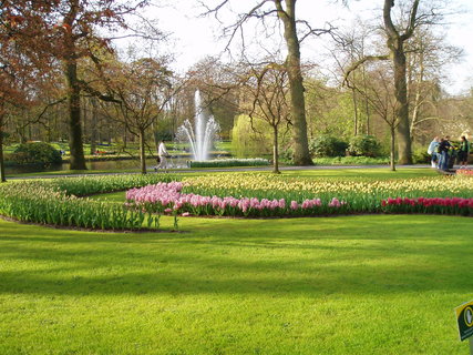 FOTKA - Jaro v parku Keukenhof