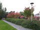 Mlad Boleslav  modern msto pln historie