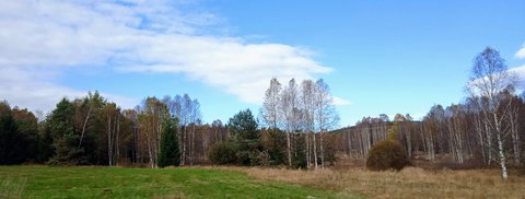 FOTKA - umava - Hojsova Str a Petice