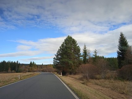 FOTKA - umava - Hojsova Str a Petice