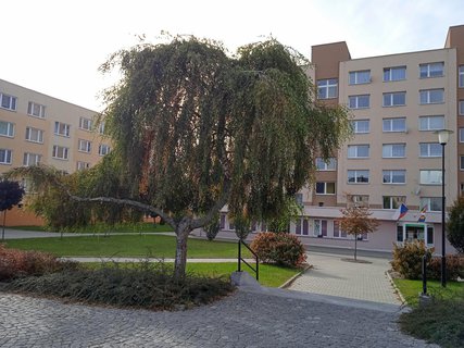FOTKA - Volary, hezk jihoesk msteko