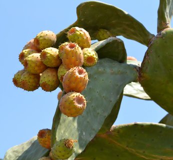 FOTKA - Krta a Spinalonga: ostrov malomocnch