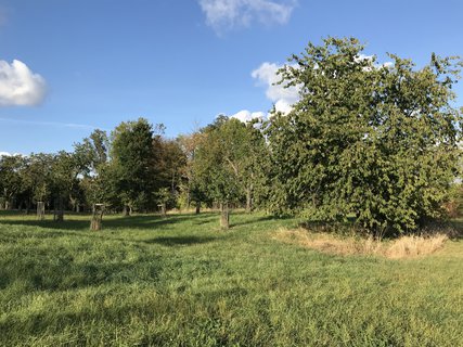 FOTKA - Toulky Habrovem