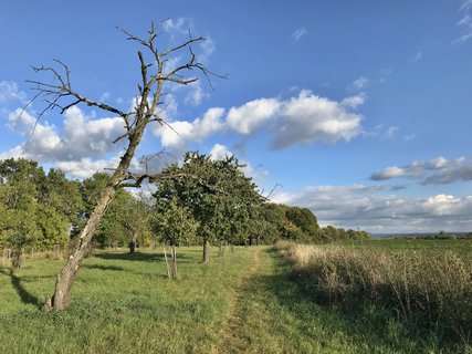 FOTKA - Toulky Habrovem