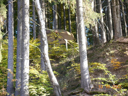 FOTKA - Prochzka podzimnm lesem s vhledy na Marinsk Lzn