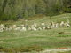 Jzda panoramatickm vlakem z Tirana do Svatho Moice