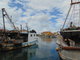 Ohldnut za dovolenou - Novigrad