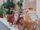 Ohldnut za dovolenou - Novigrad