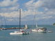 Ohldnut za dovolenou - Novigrad