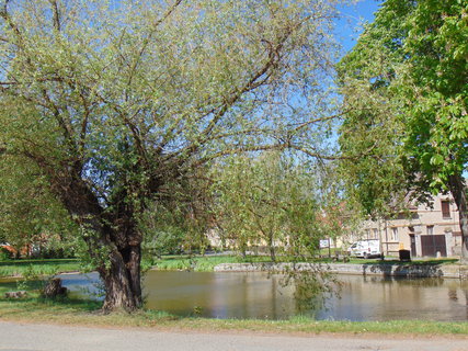 FOTKA - Nrodopisn muzeum Tebz
