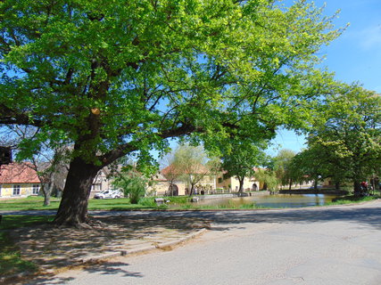 FOTKA - Nrodopisn muzeum Tebz