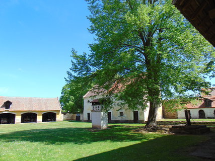 FOTKA - Nrodopisn muzeum Tebz