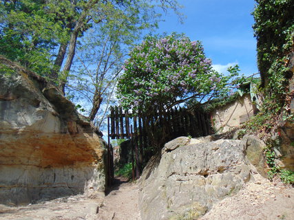 FOTKA - Nrodopisn muzeum Tebz