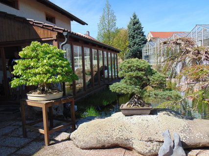 FOTKA - Nrodopisn muzeum Tebz