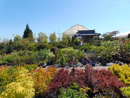 FOTKA - Nrodopisn muzeum Tebz