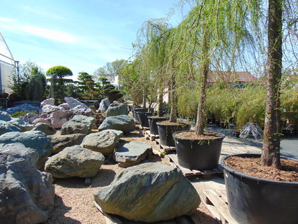 FOTKA - Nrodopisn muzeum Tebz