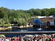 Norimbersk zoologick zahrada
