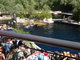 Norimbersk zoologick zahrada