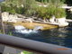 Norimbersk zoologick zahrada
