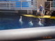 Norimbersk zoologick zahrada