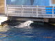 Norimbersk zoologick zahrada